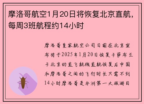 摩洛哥航空1月20日将恢复北京直航，每周3班航程约14小时